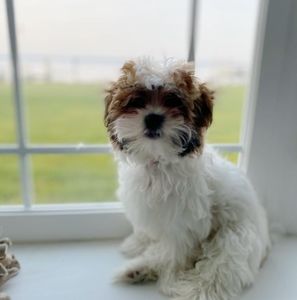 Meet your Posher, Lorraine